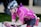 A cyclist wearing a pink jersey and black cycling shorts, equipped with a helmet and sunglasses, riding a bicycle in an aerodynamic position. A red water bottle is attached to the side of the bike, and a small item is clipped to the back of the waistband.