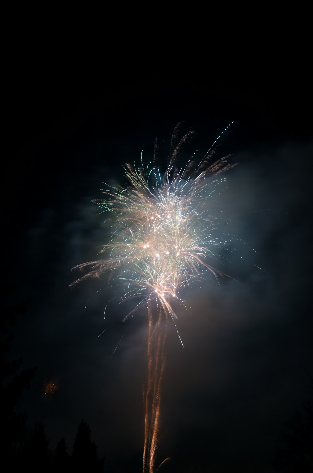 fireworks display