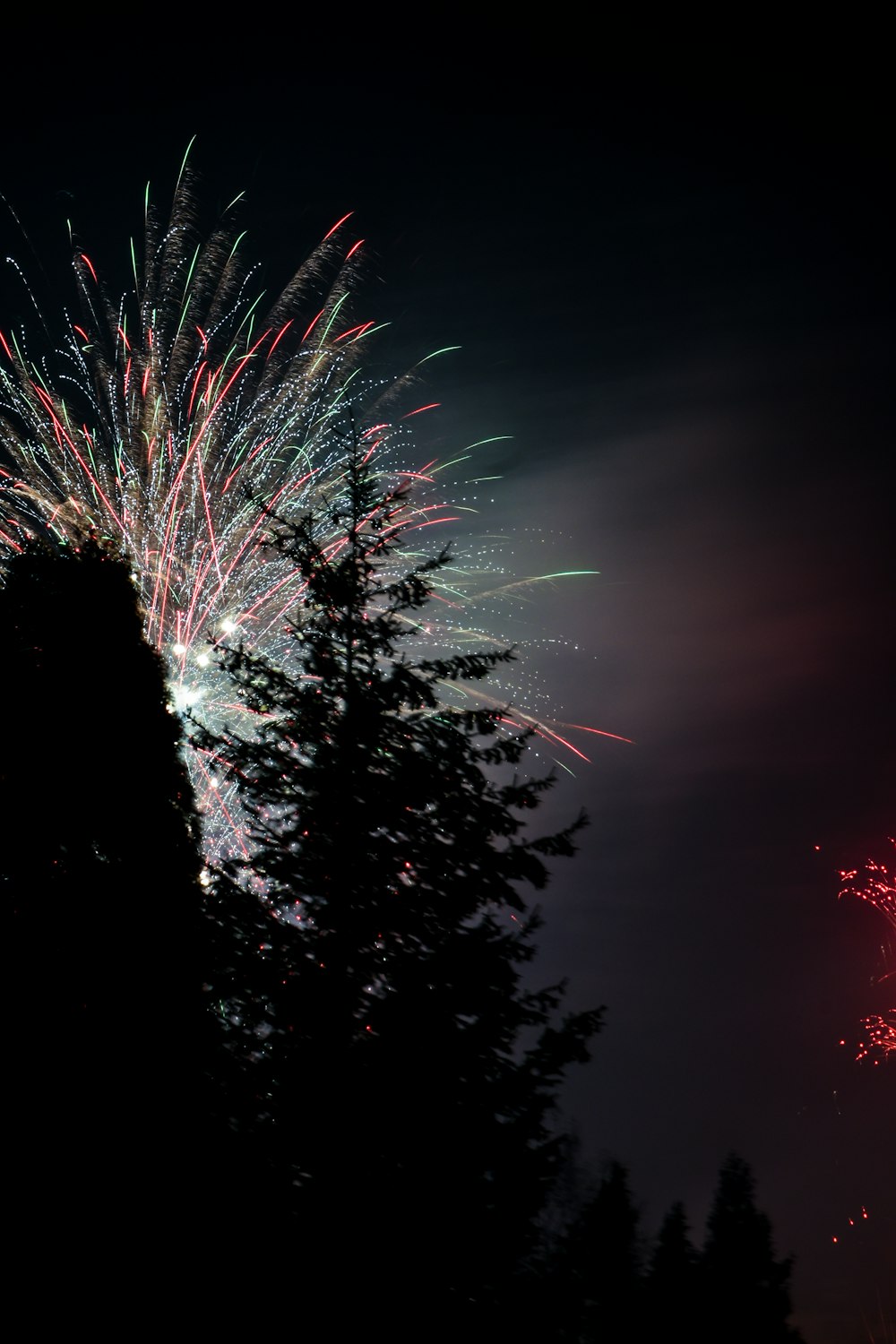 trees under fireworks