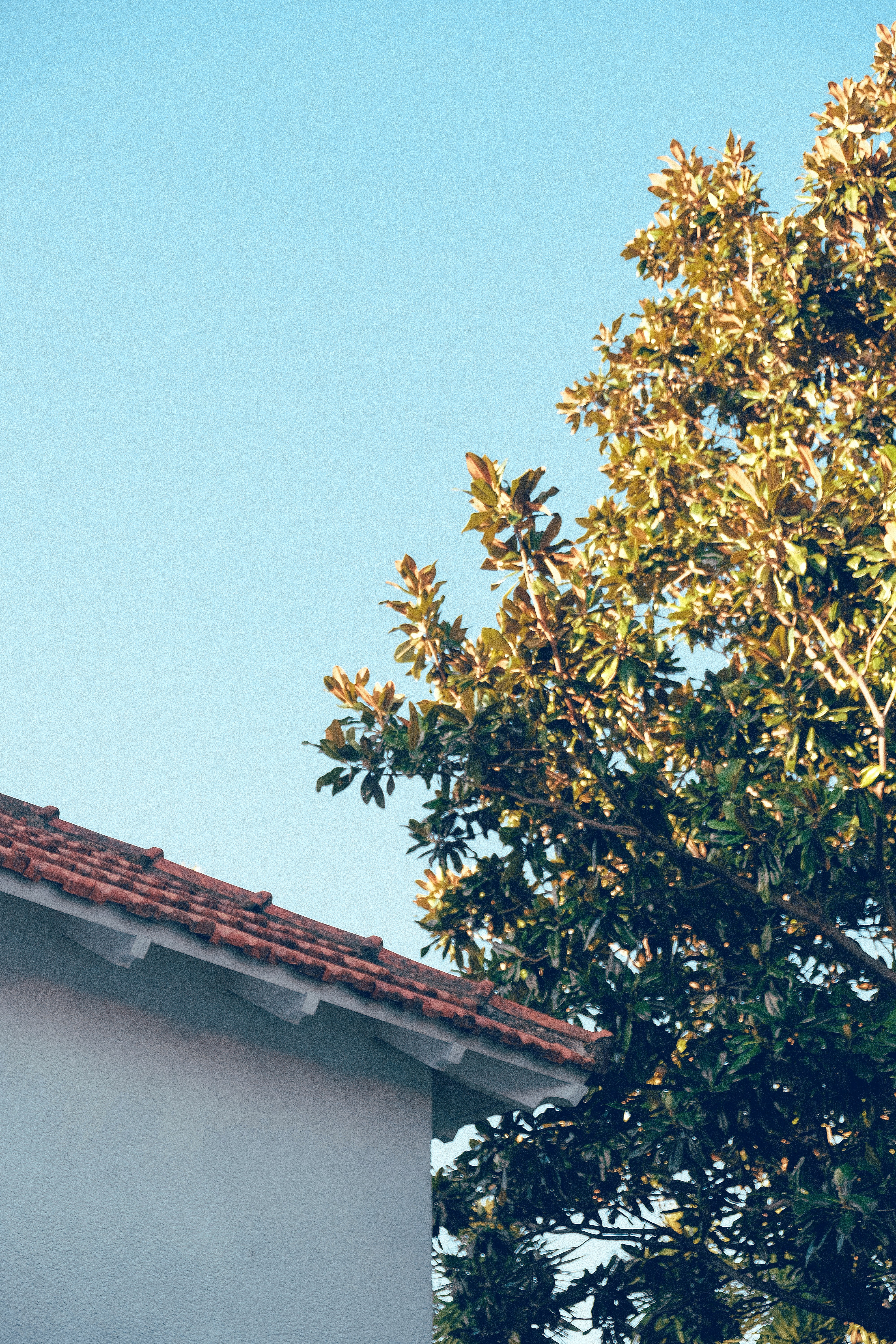 Photo by joseignaciopompe