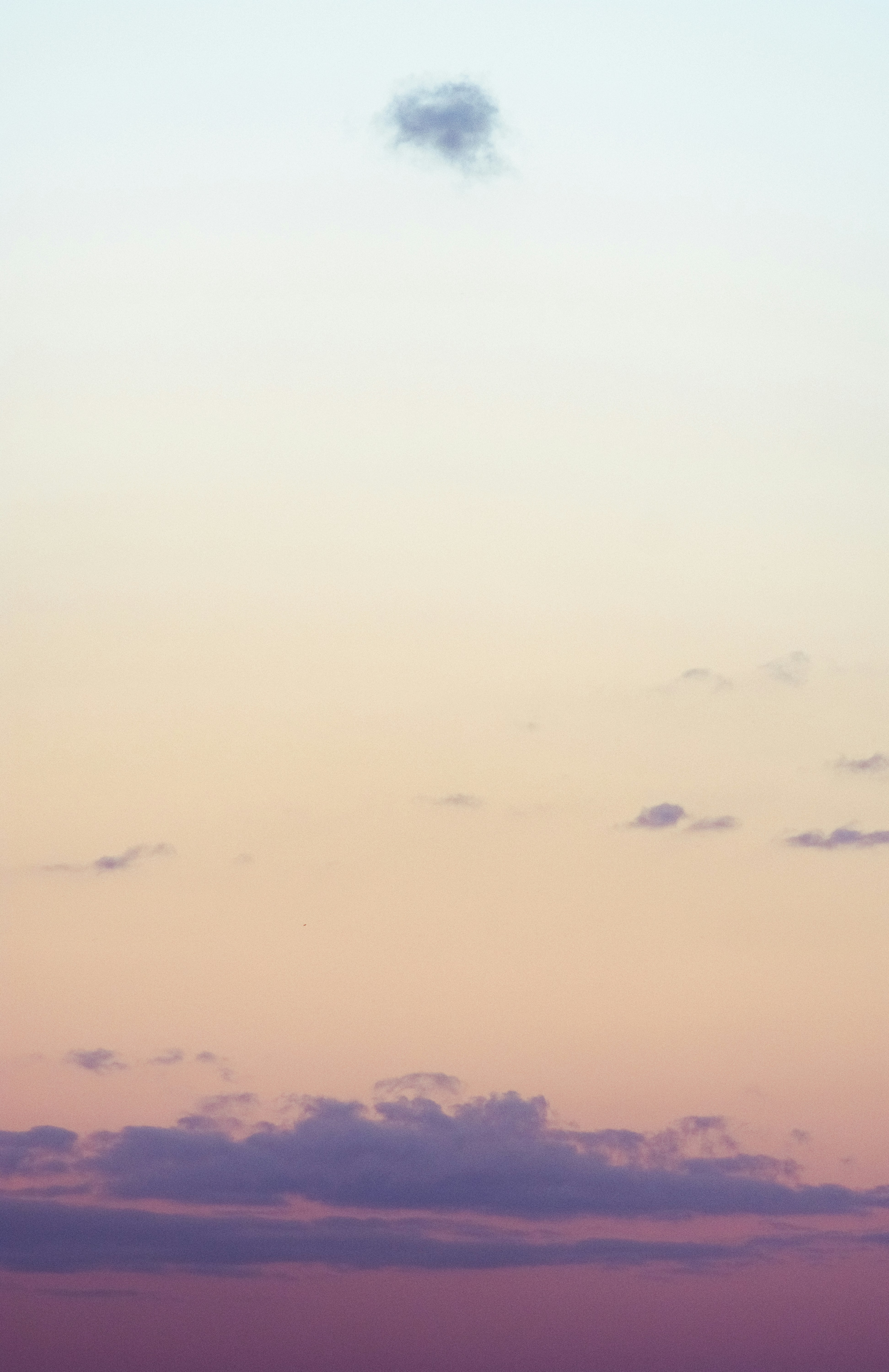 Photo by joseignaciopompe