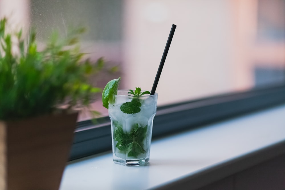 액체와 녹색 잎이 있는 투명한 유리 컵