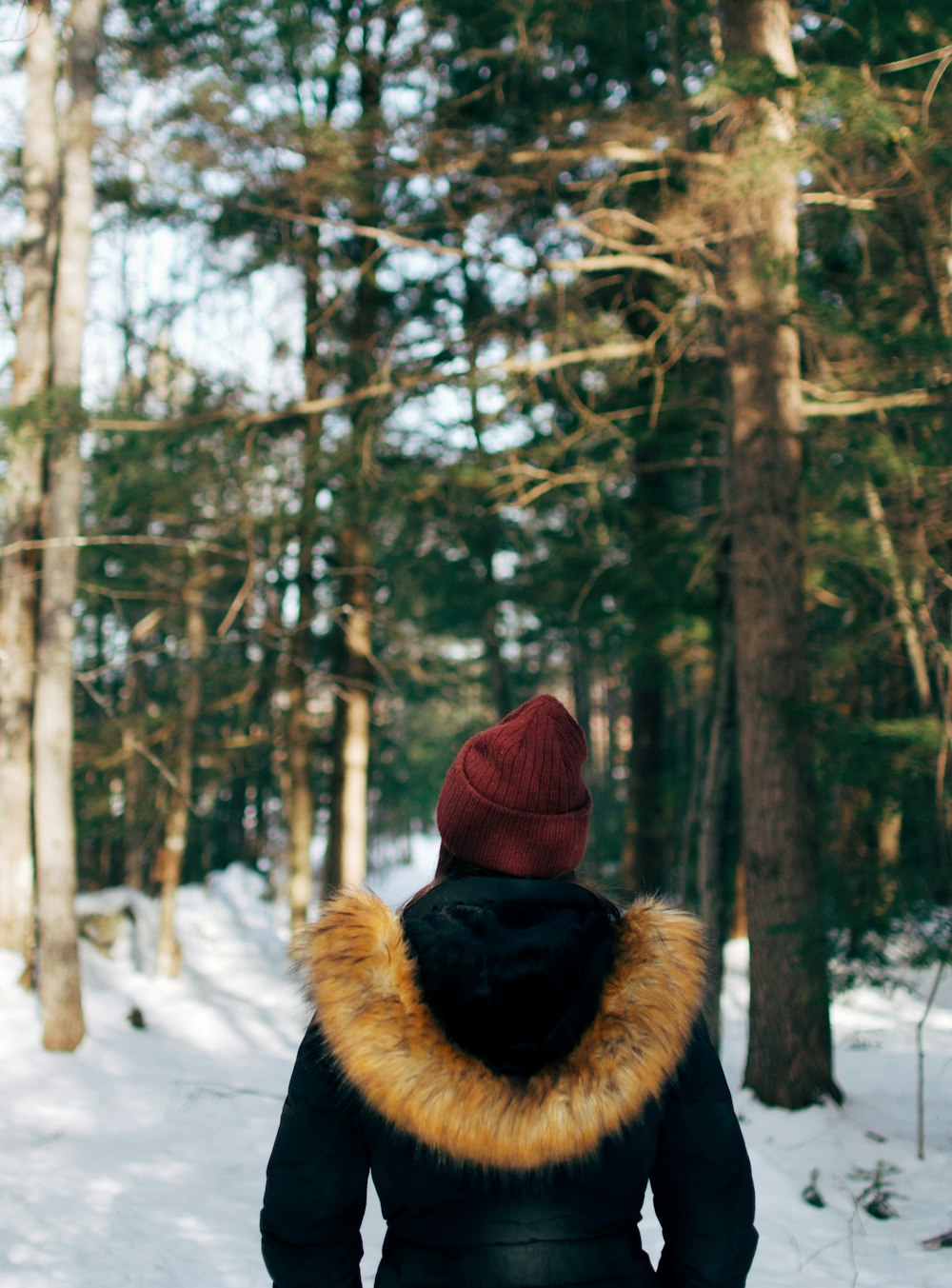 woman standing under trees in forest