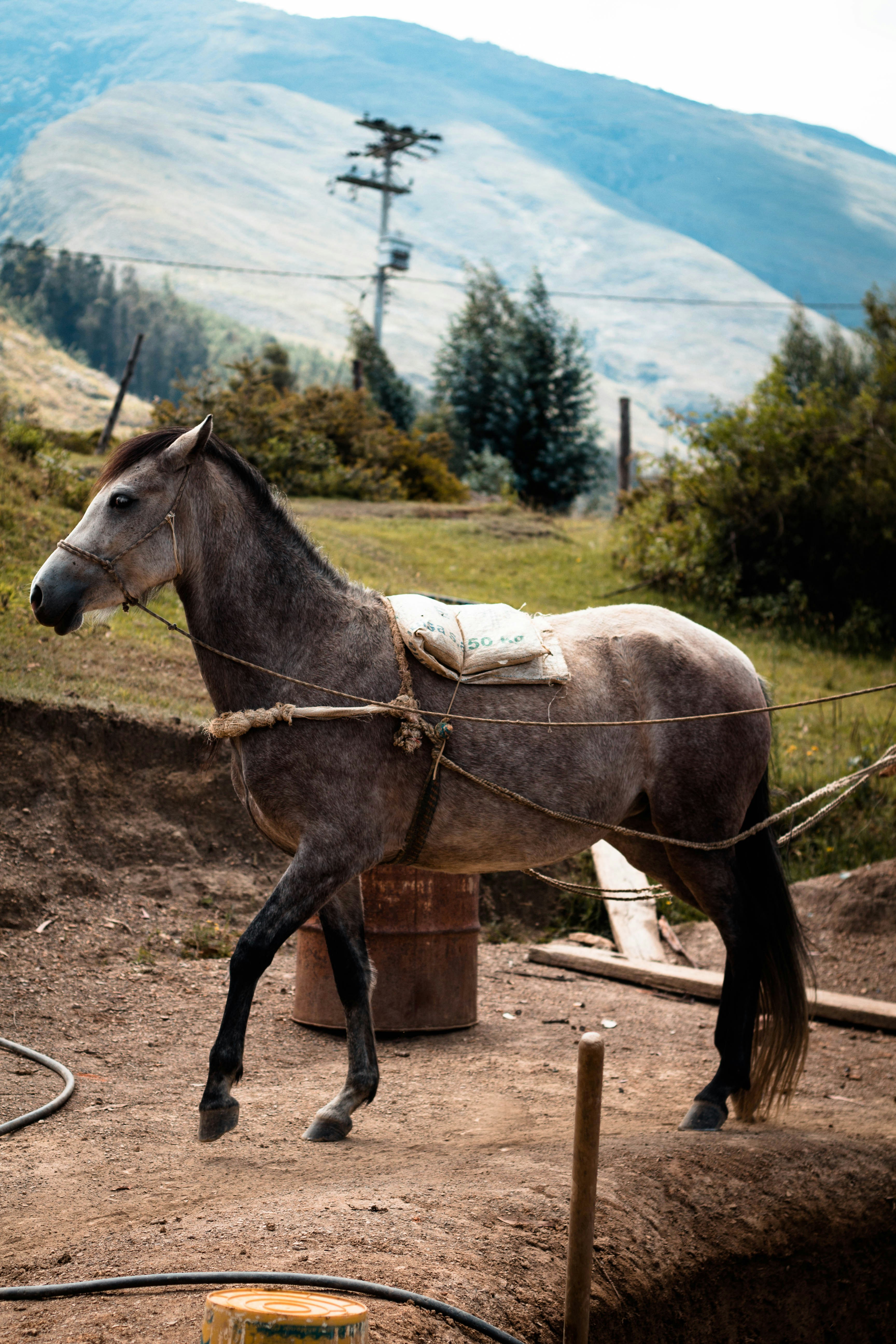 Photo by rodemendoza