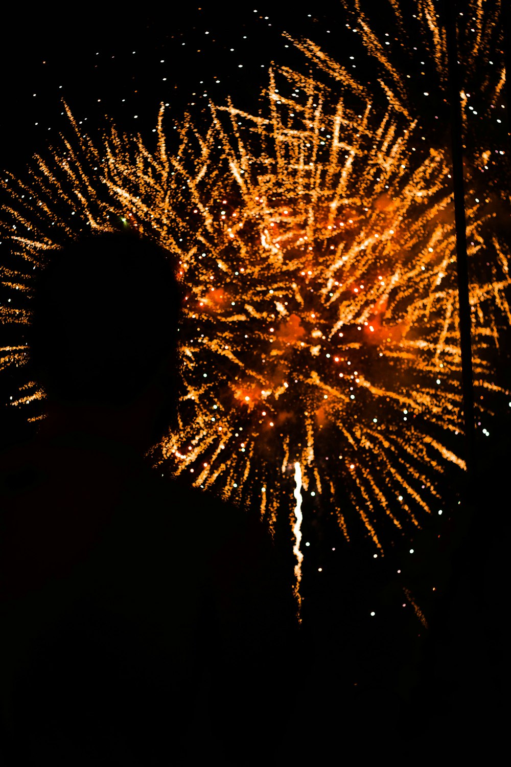 silhouette of man watching fireworks