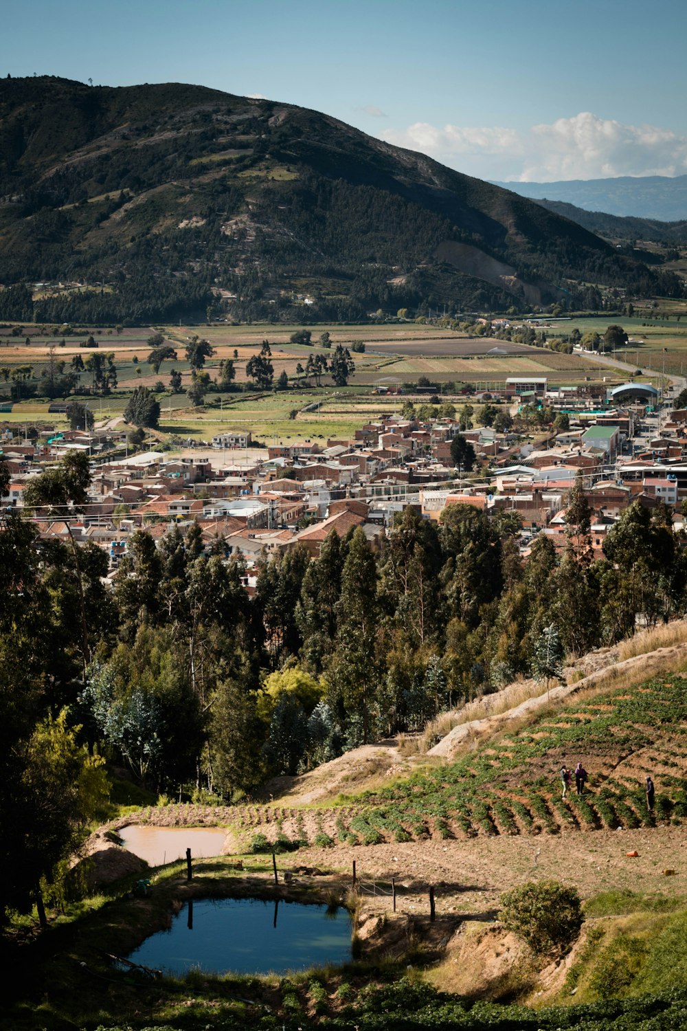 aerial photography of house near mountains during daytime