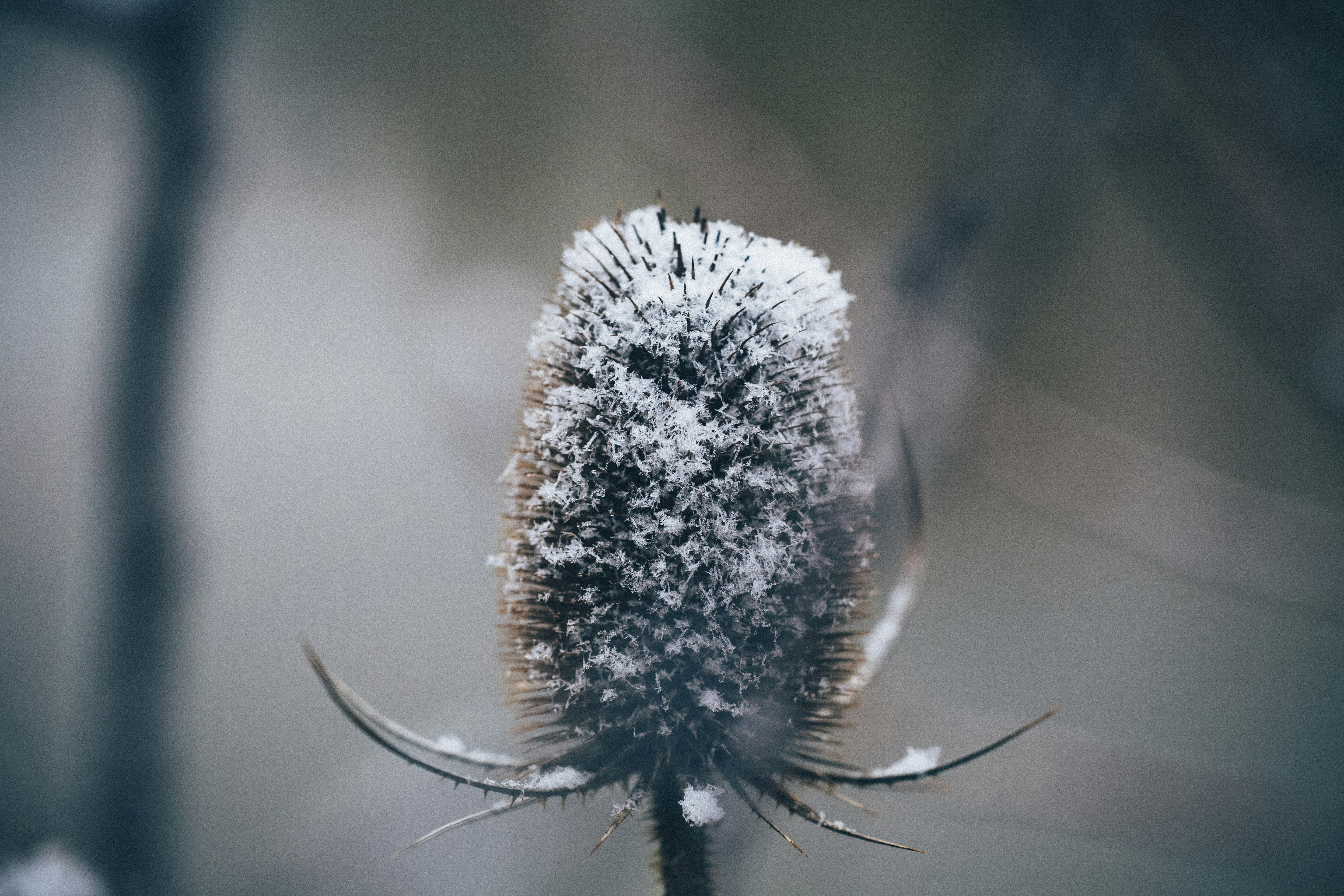 Photo by markusspiske