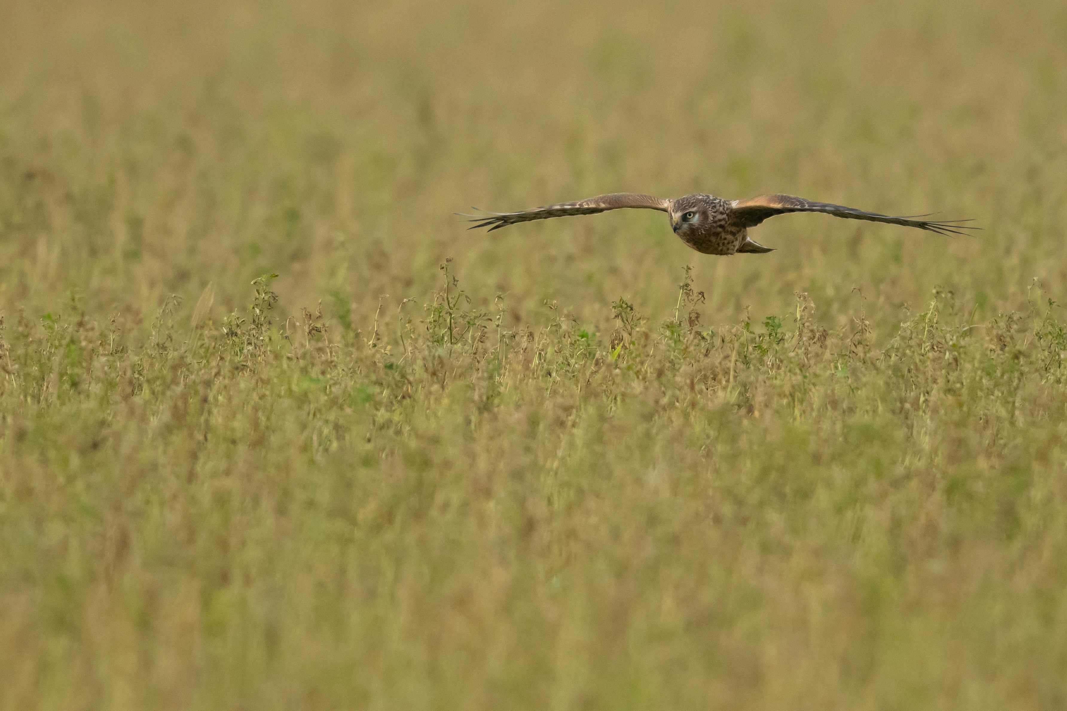 Photo by vincentvanzalinge