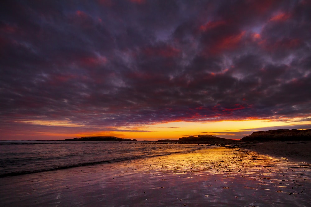 seashore during golden hour