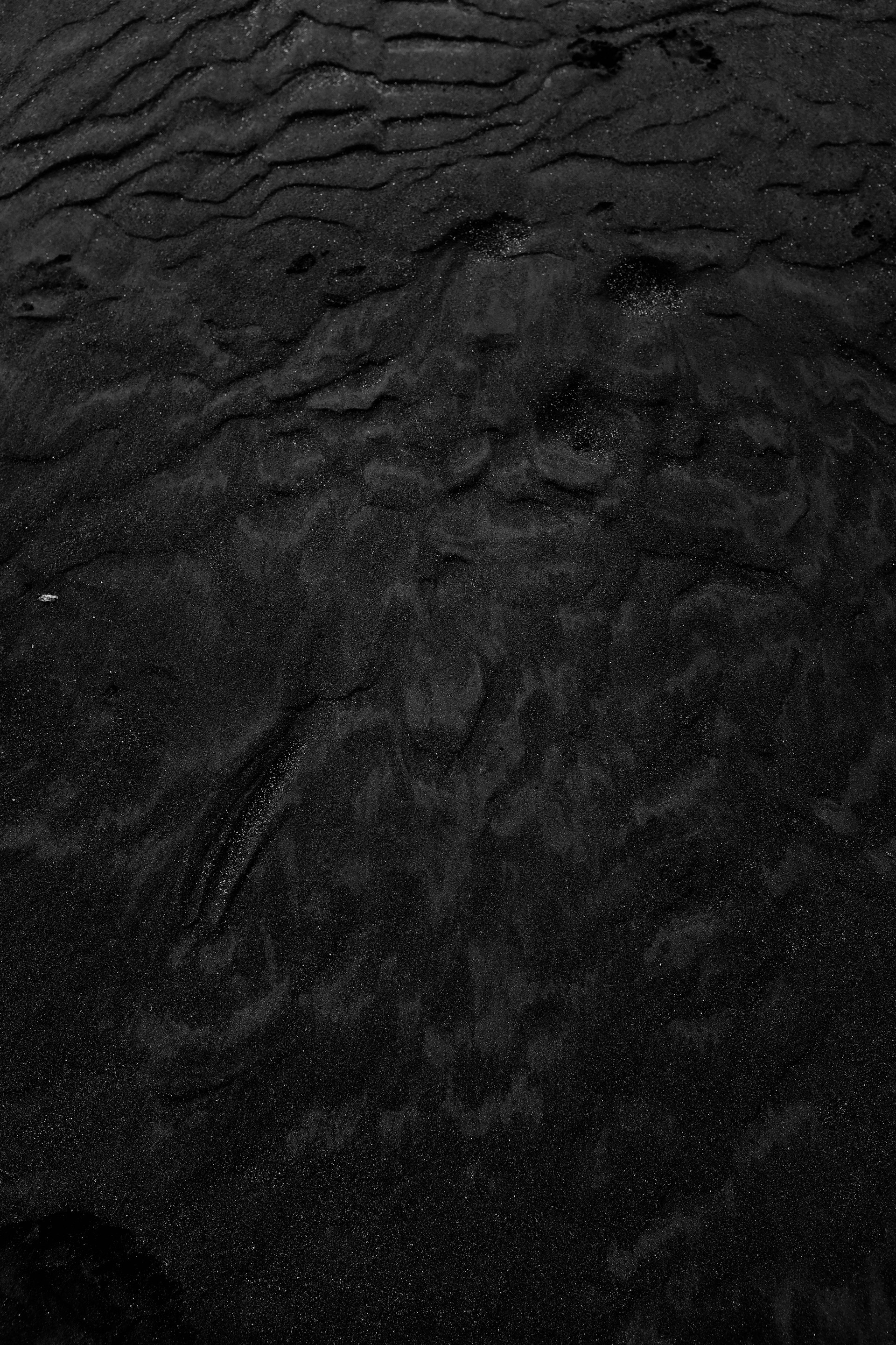 black and gray floral textile