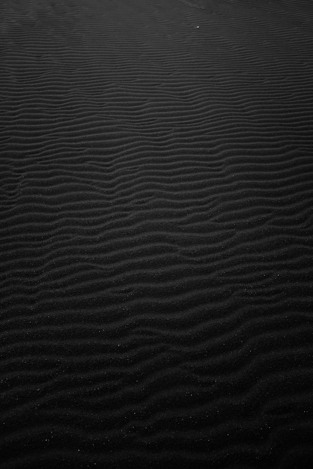 Fotografía en escala de grises de arena