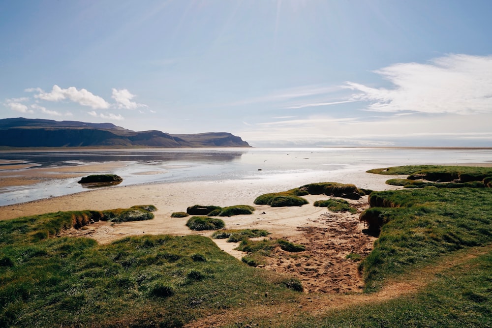 panoramic photography of shore during daytime