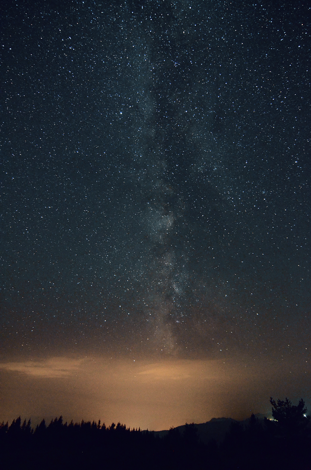 silhouette of trees under brown and grey night sky