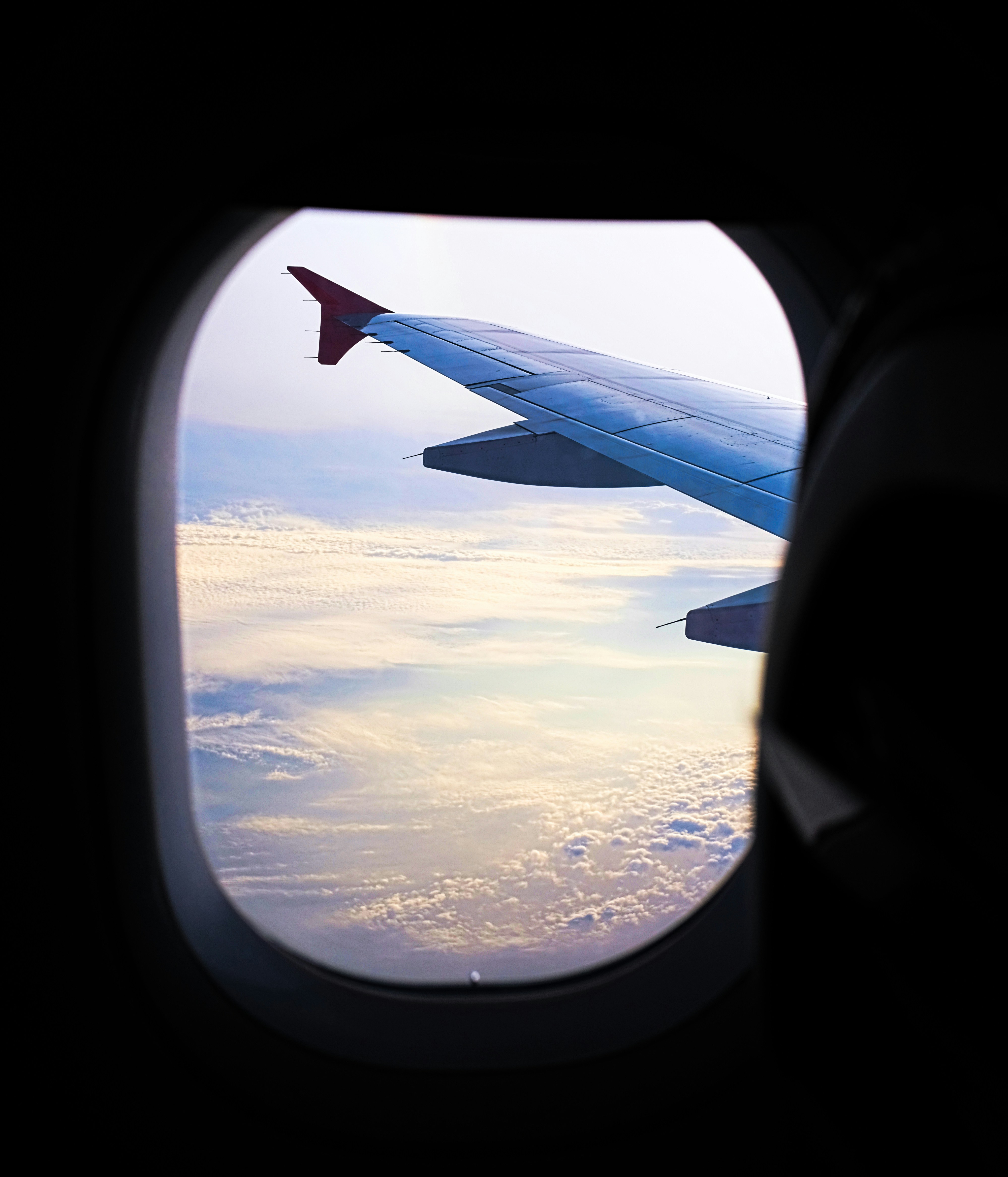 photo-1547502155-9caf5c243919?ixlib=rb-1.2.1&ixid=eyJhcHBfaWQiOjEyMDd9&auto=format&fit=crop&w=1029&q=80