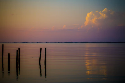 A peaceful outdoor scene at sunset, symbolizing calm and emotional release through feelink posts.
