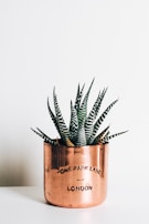A copper-colored pot with the words 'ONE PARK LANE LONDON' engraved on it contains a green and white striped succulent plant. The pot sits on a smooth white surface against a plain white background, creating a minimalist aesthetic.