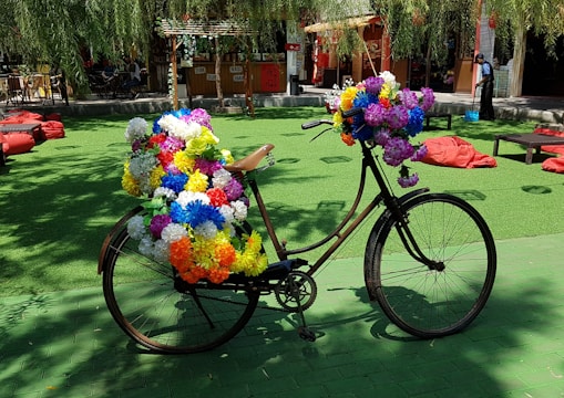 A beautifully customized bicycle displayed in an outdoor setting.