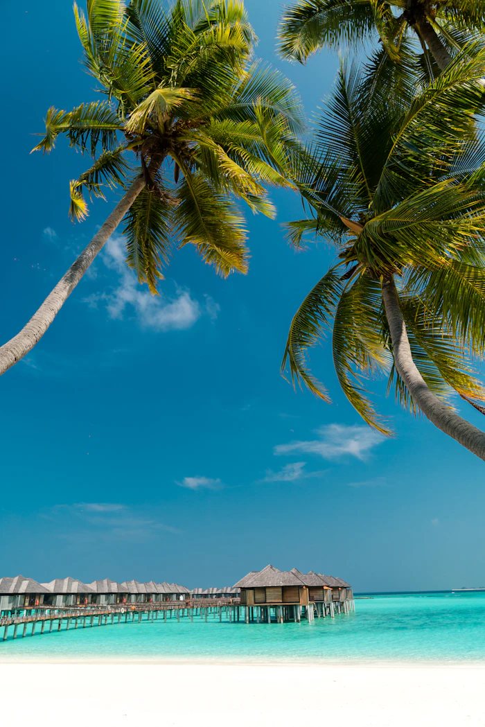 Fresh coconut