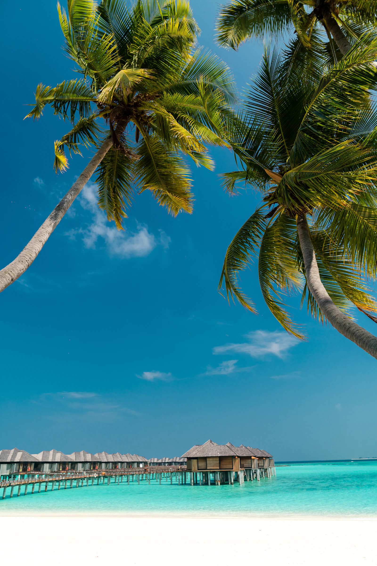 Maldives