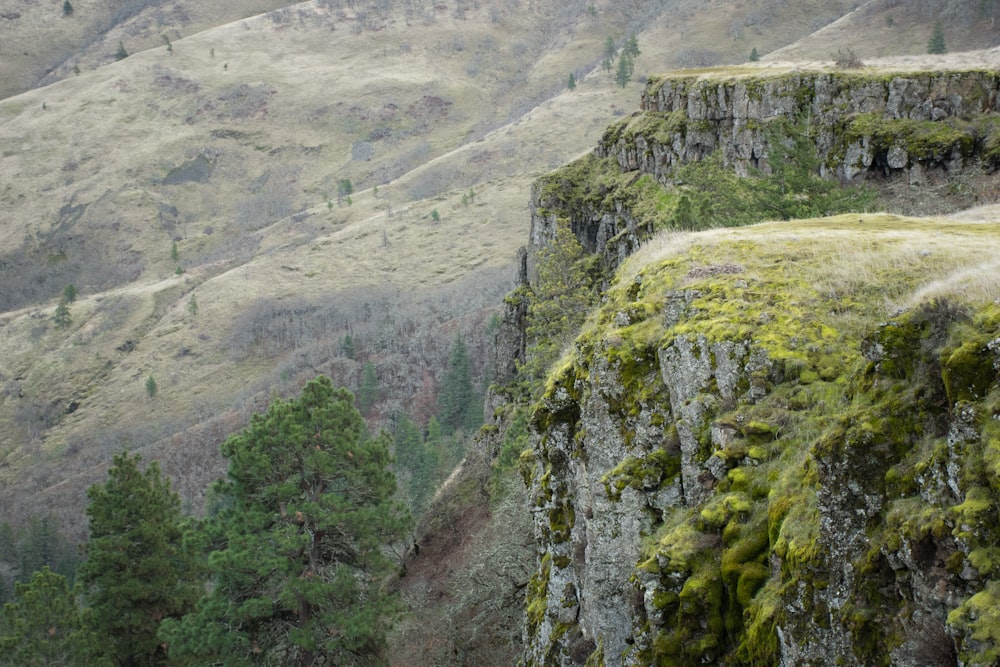 mountain cliff during daytime ]