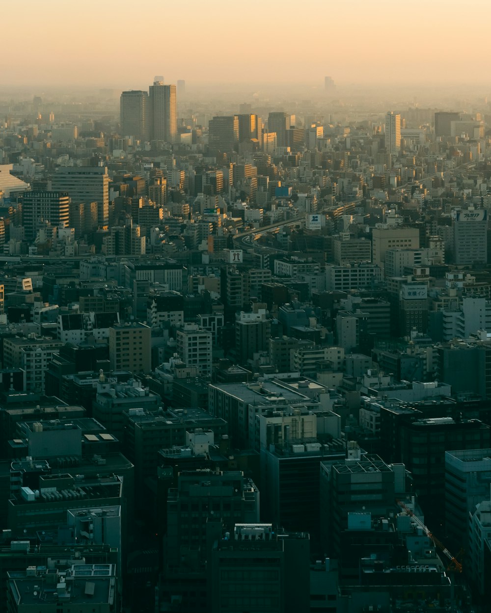 aerial photograph of city