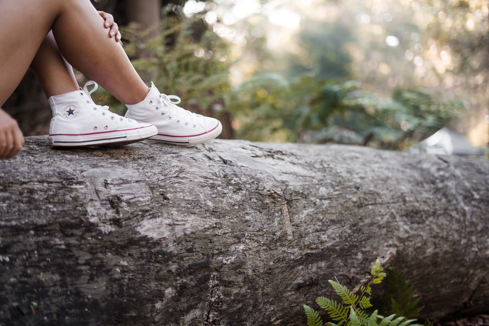 person in white All Star high tops sitting on tree trunk