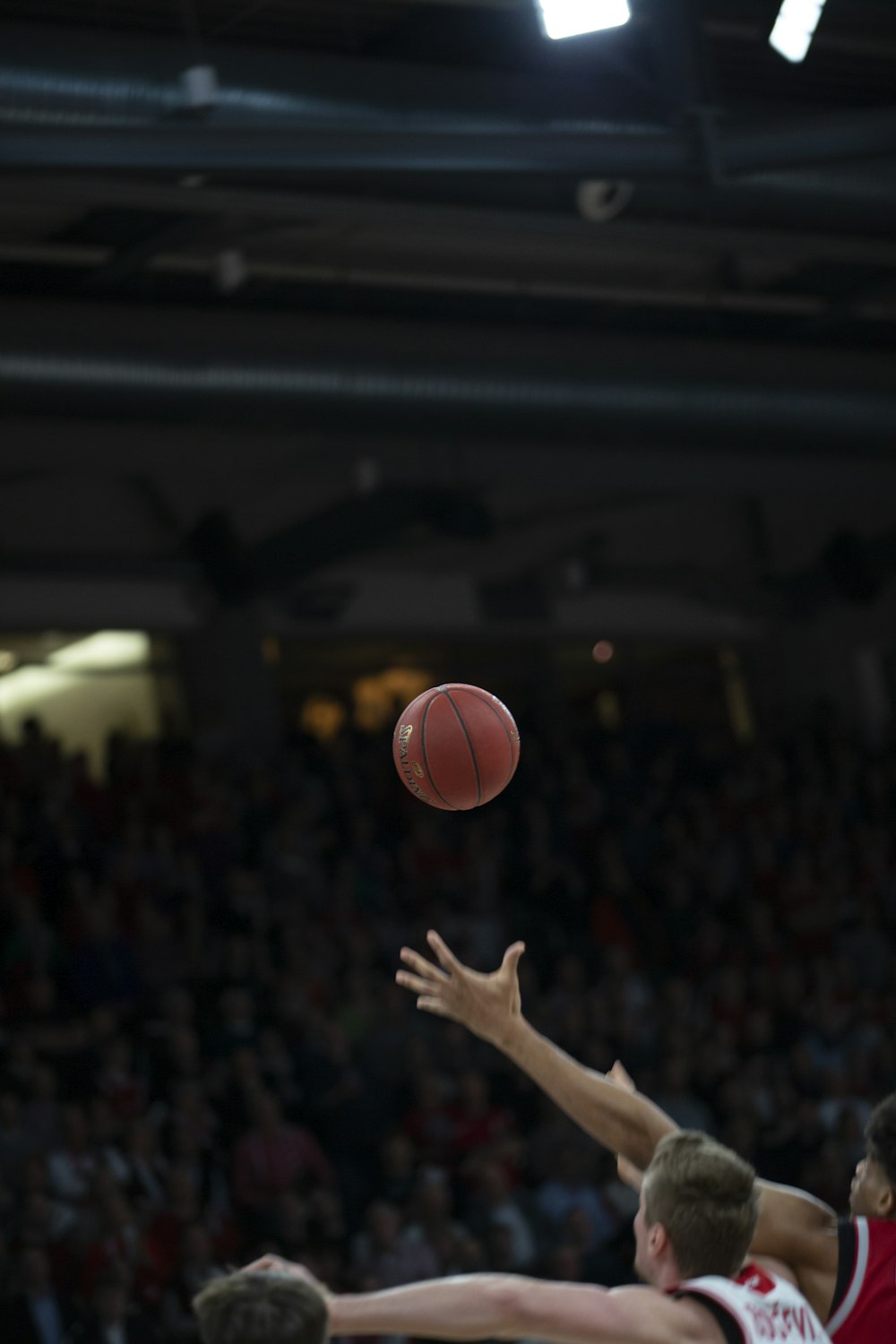 personne près de basketball