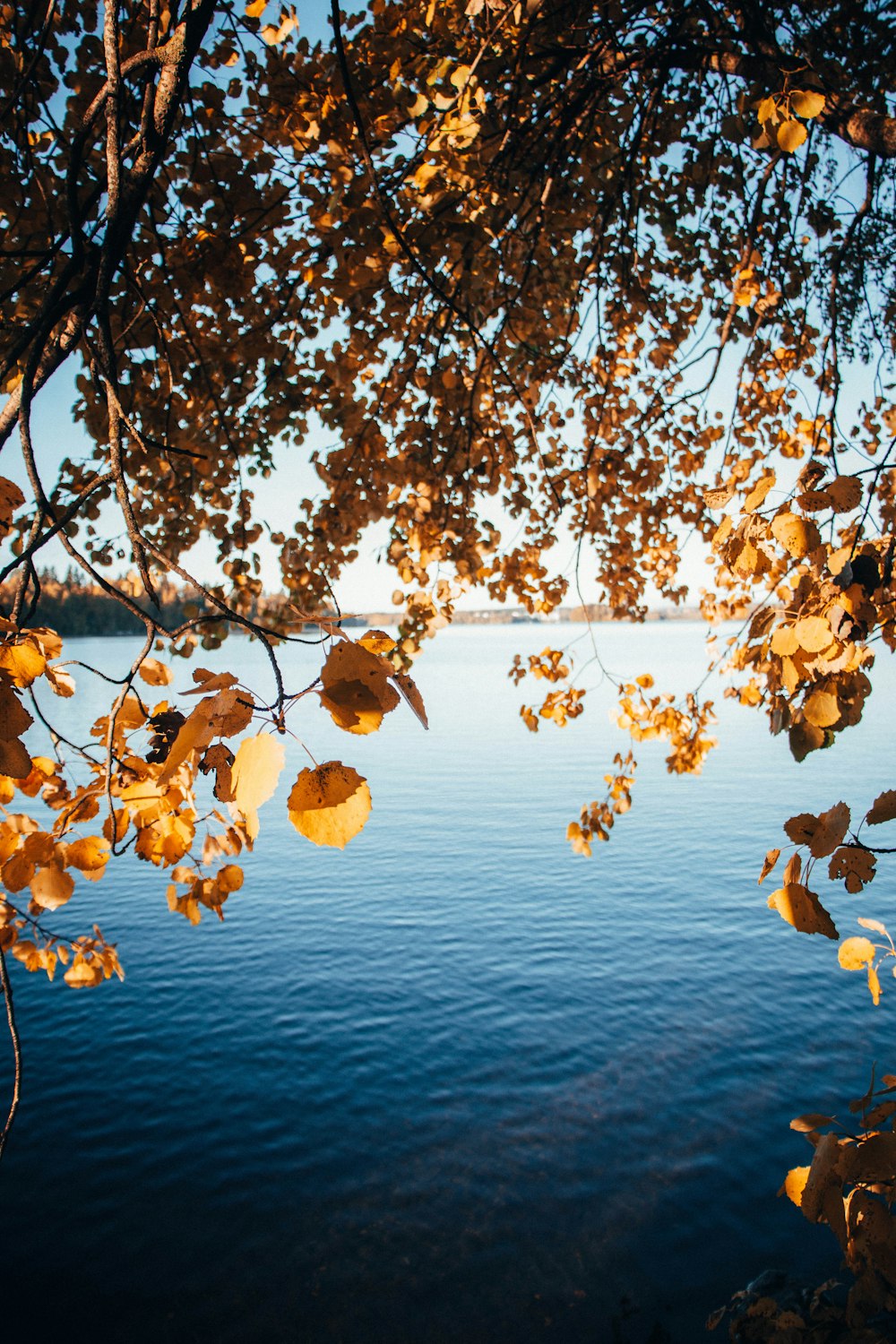 specchio d'acqua durante il giorno