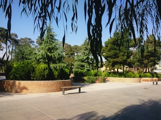 A diverse group of community members planting trees together in a peaceful park setting.