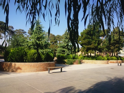A diverse group of community members planting trees together in a peaceful park setting.