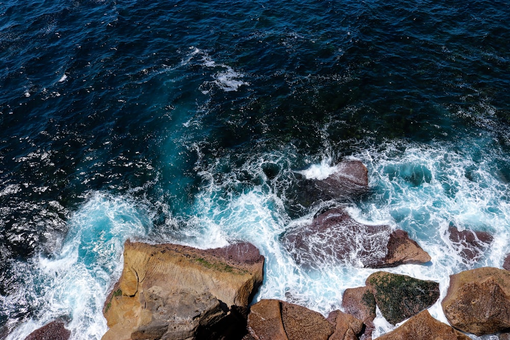 rochas marrons no corpo de água