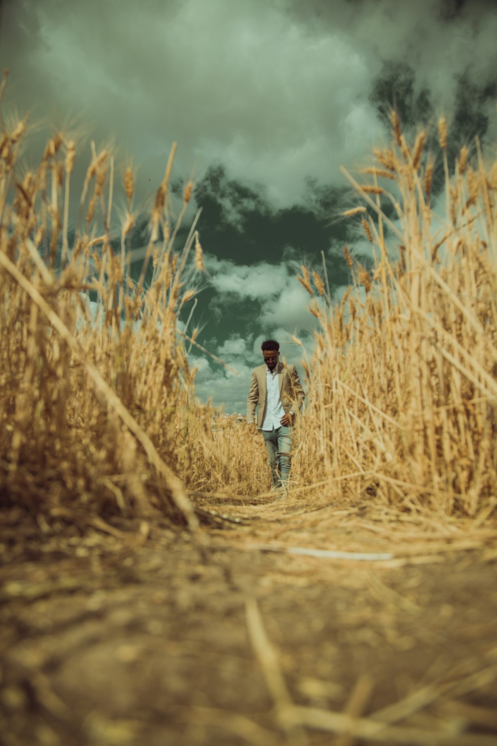 man walking between brown grass