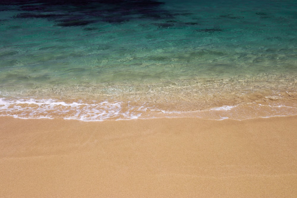 green seashore during daytime