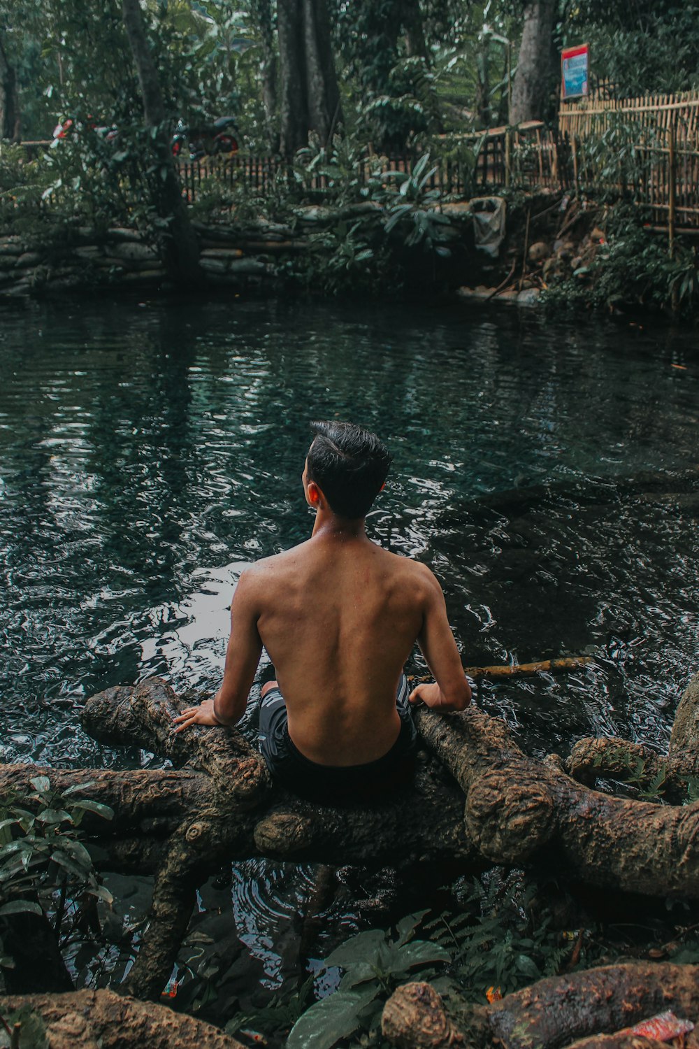 topless man sitting on root of tree on body of water