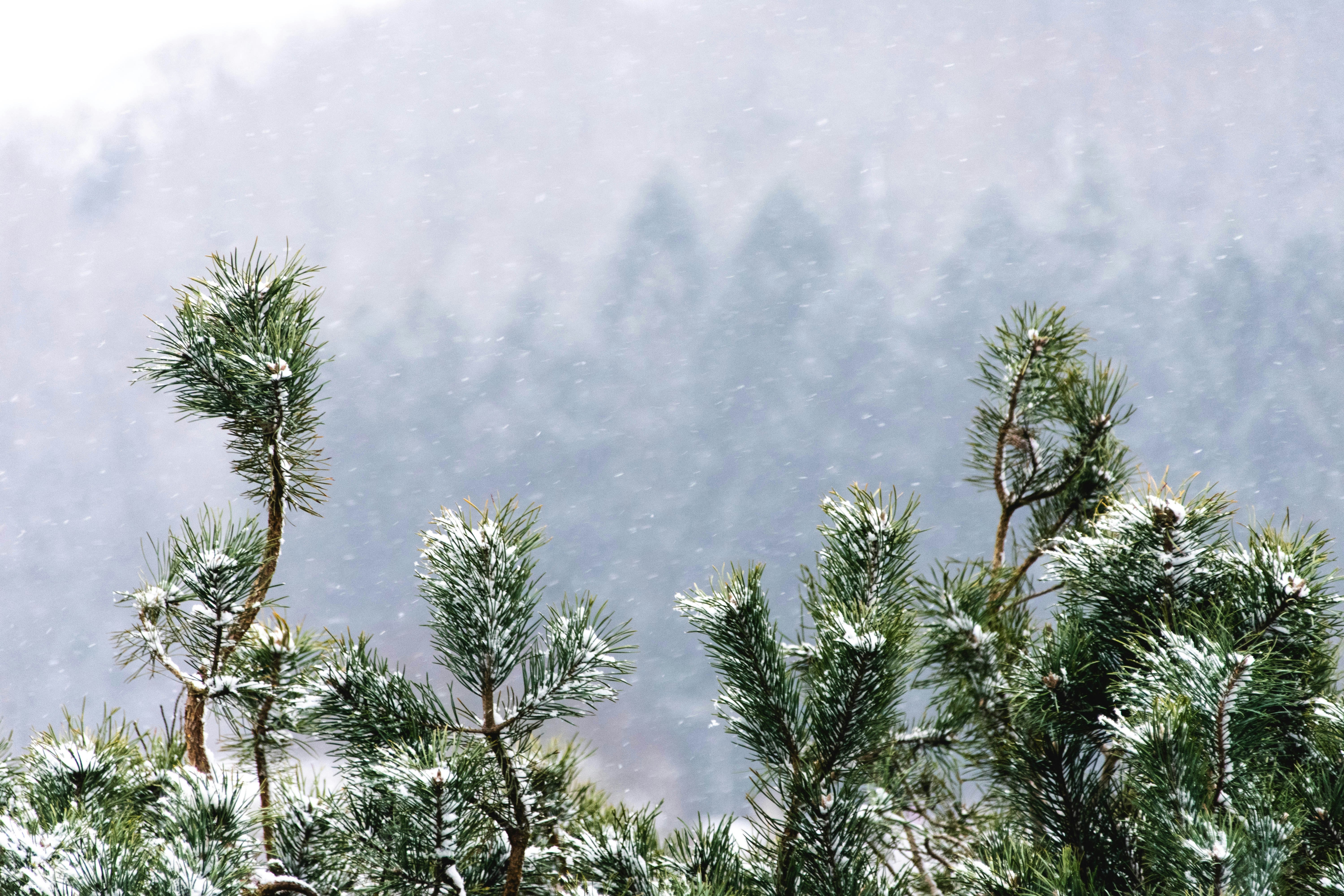 Photo by virussinside