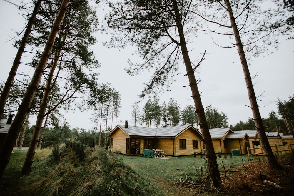 beige cabin in forest