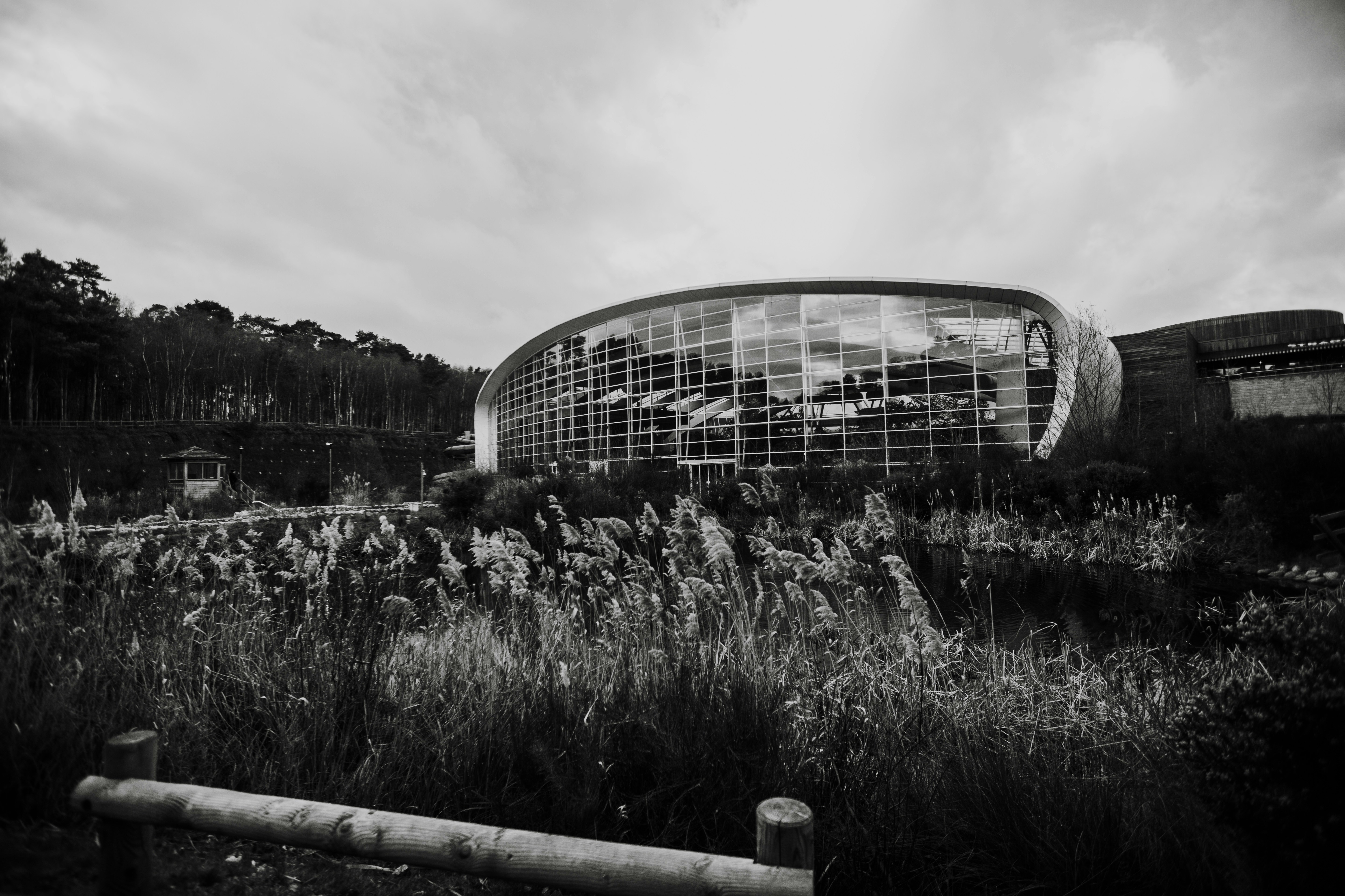 grayscale photography of buildings