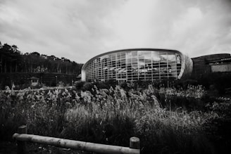 grayscale photography of buildings