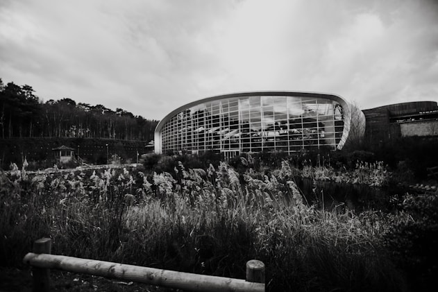 grayscale photography of buildings