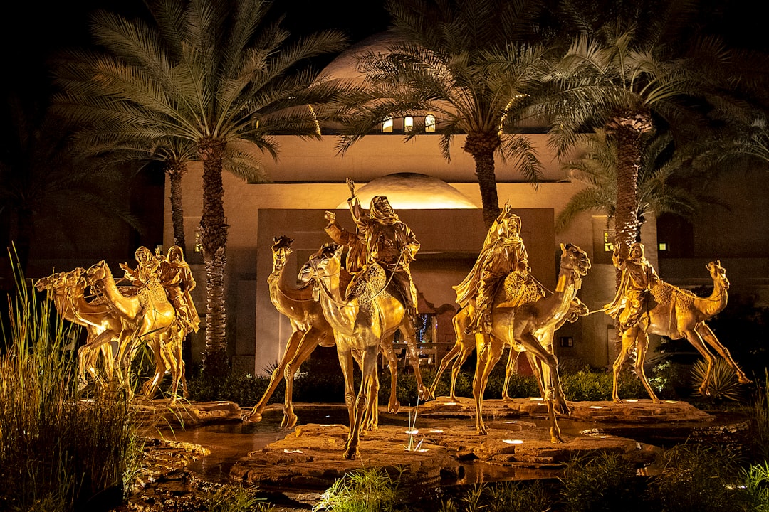 women riding on camel during nighttime