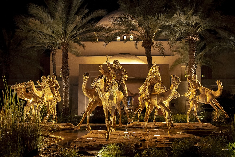 women riding on camel during nighttime