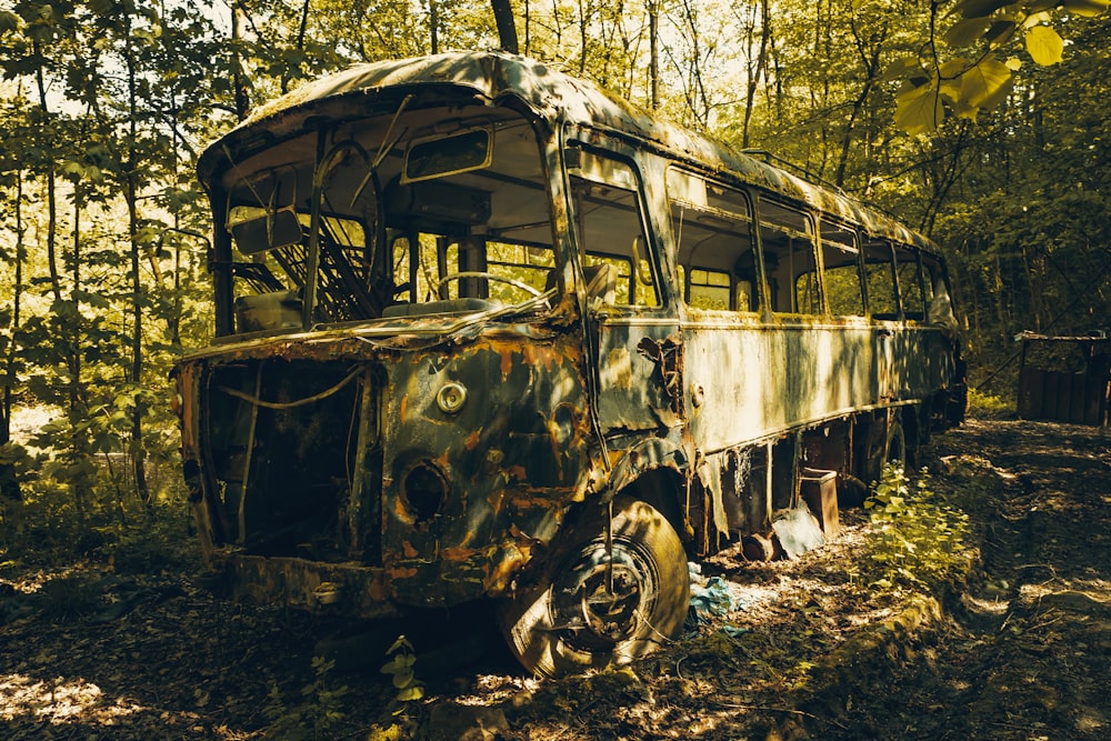 brown abandon bus on woods