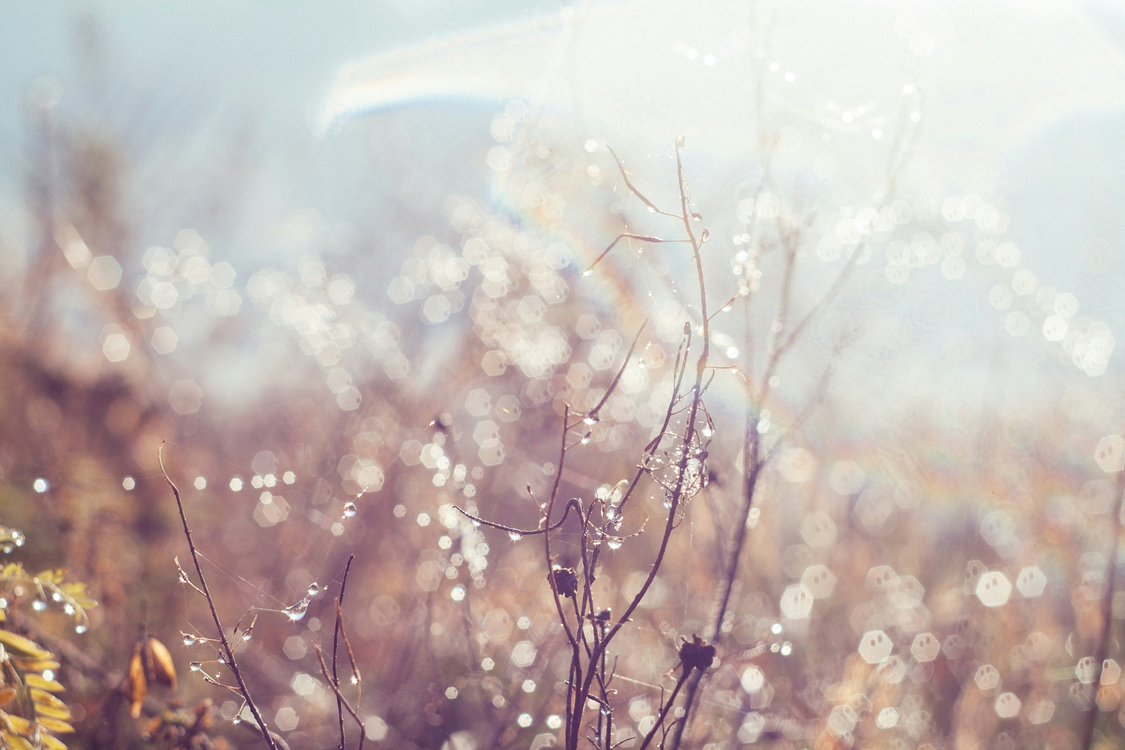 Photo by onmywayhome