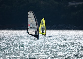 Two windsurfers glide across a sparkling body of water. Their sails catch the light, with one having a dark frame and the other a vibrant yellow color. The water reflects sunlight, creating a shimmering effect, while a shadowy, tree-covered shoreline is visible in the background.