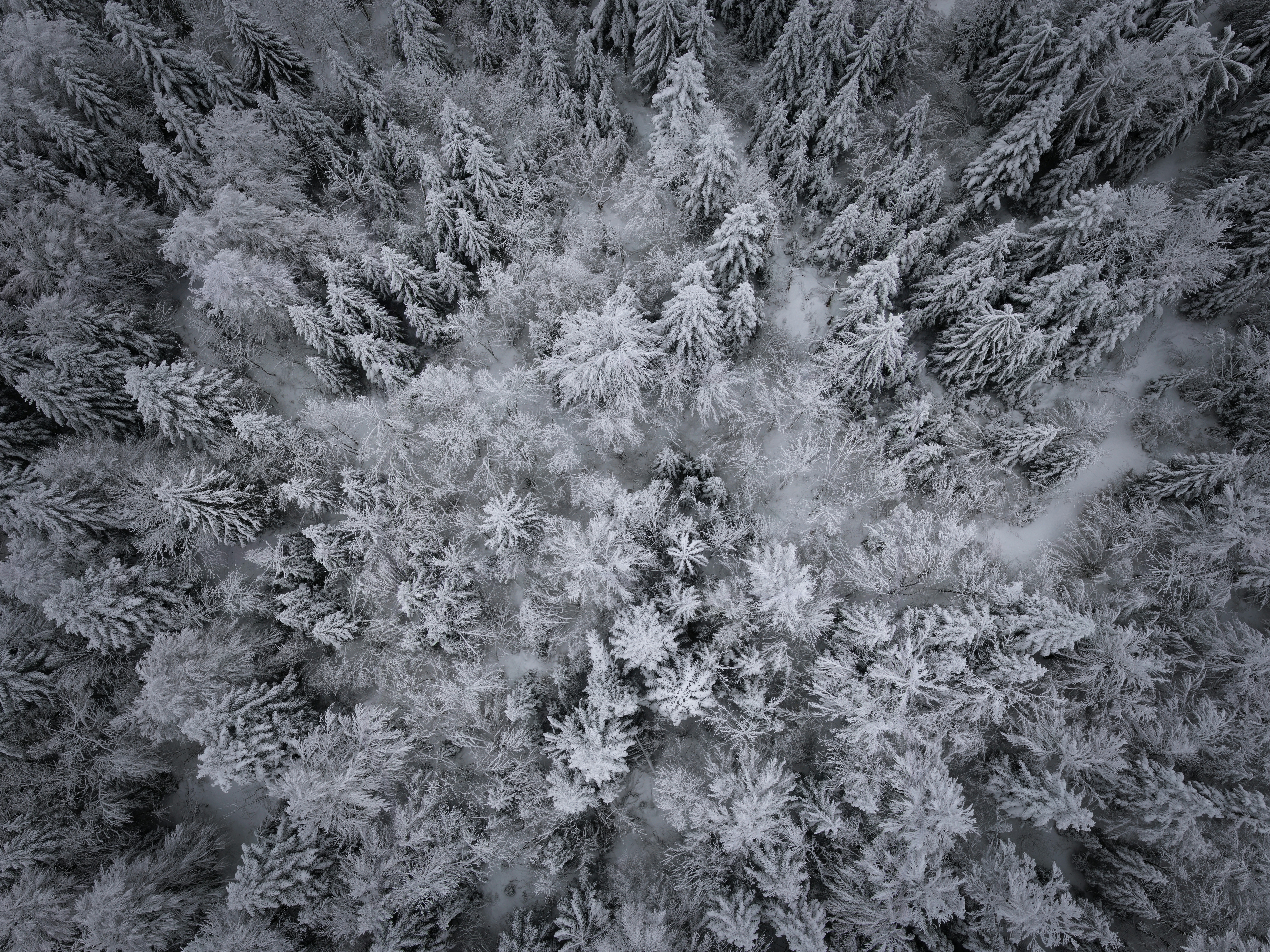 Photo by nathan030997