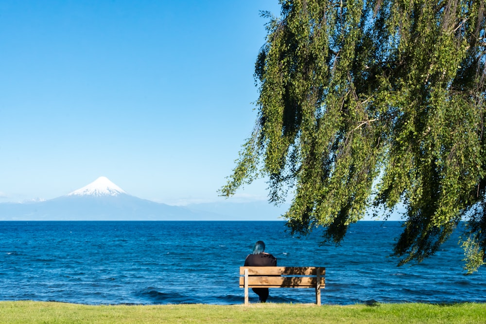 昼間、海に面した柳の木の下の木製のベンチに座っている人