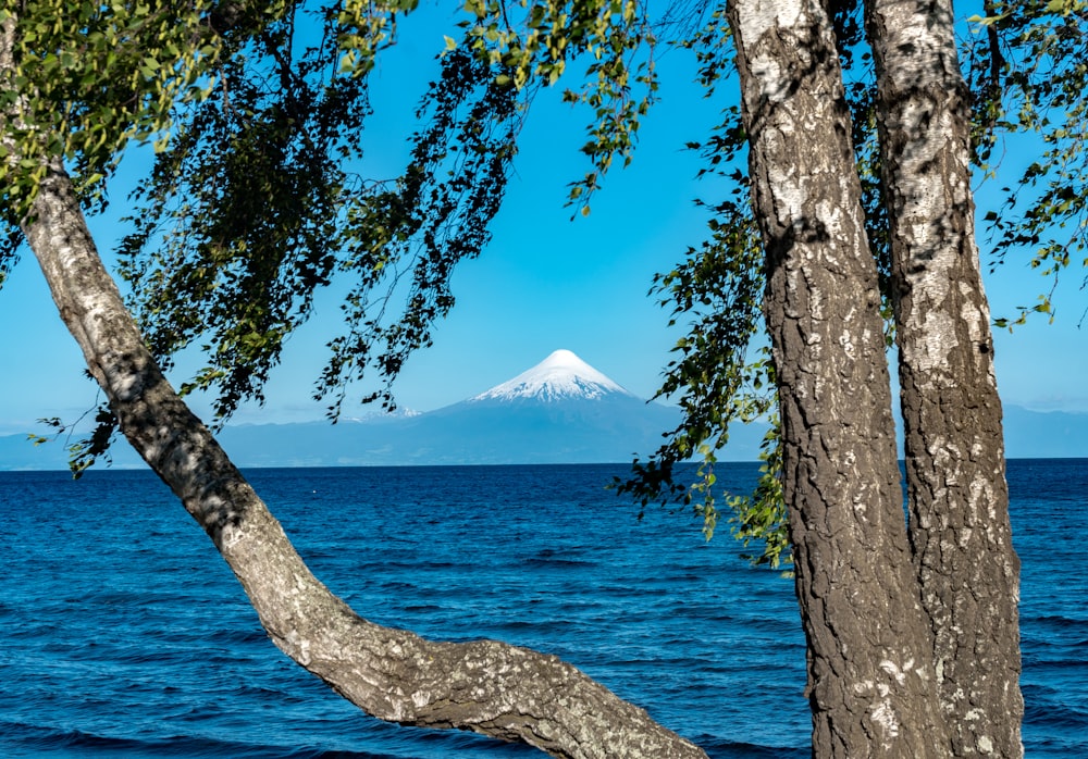 snow capped mountain by the water