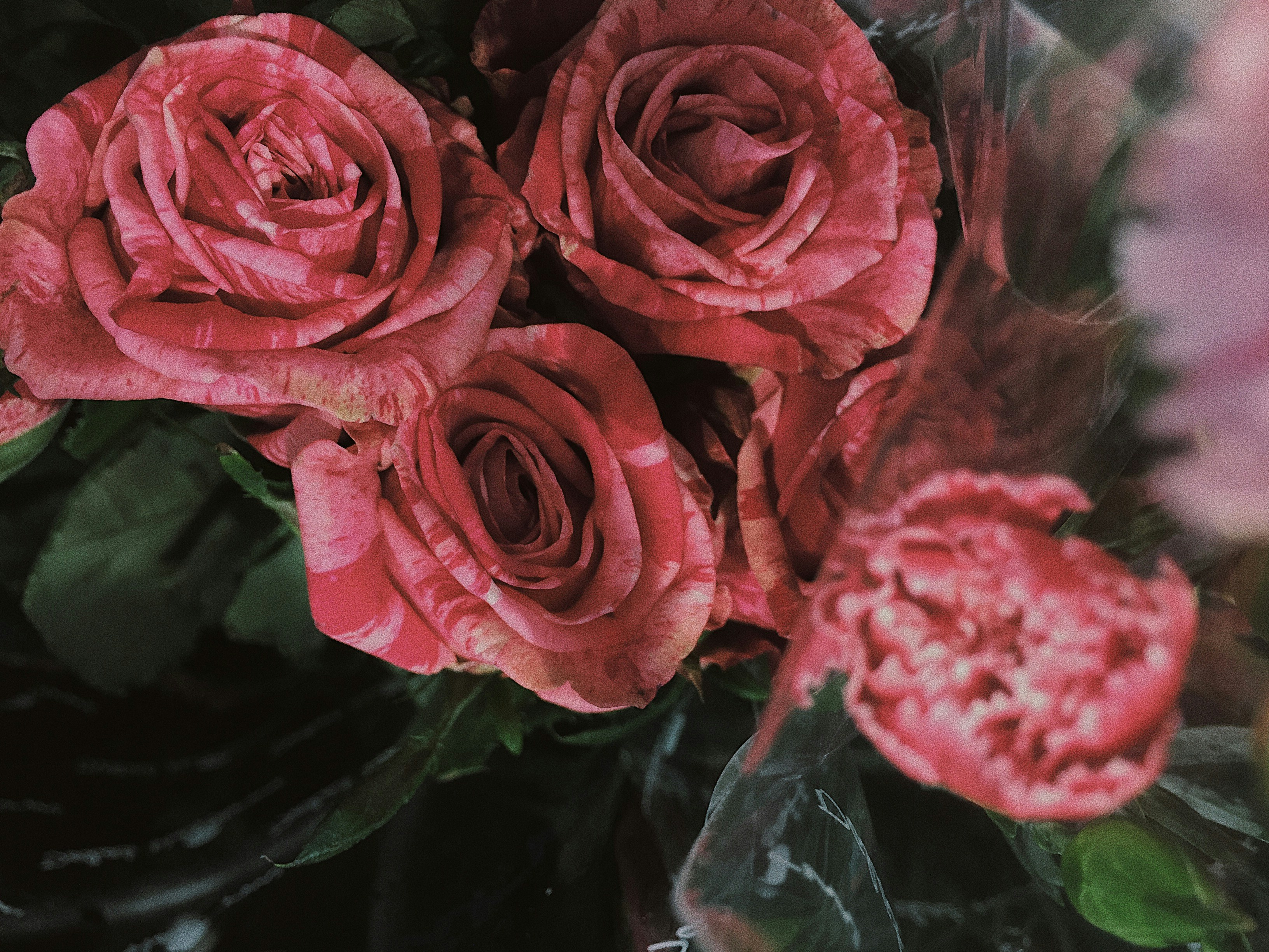 Boosting Vitamin D May Help MS Patients Manage Relapses