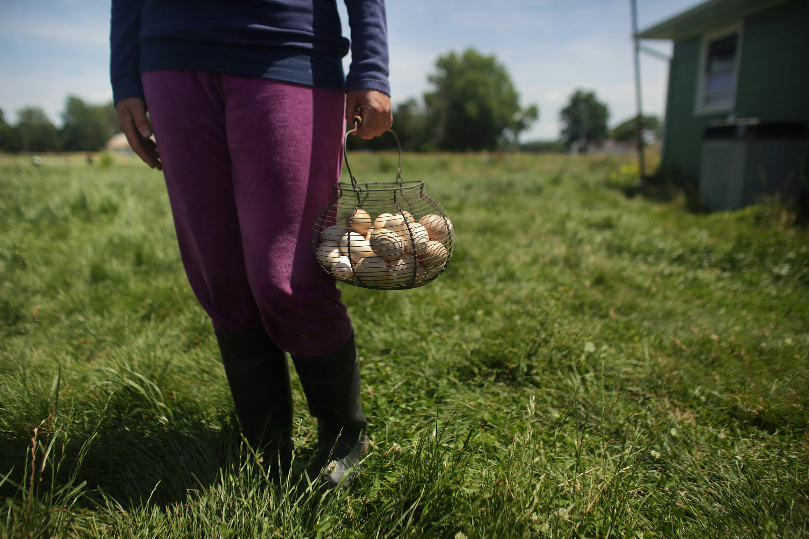 Freelancing Without Upwork: Honest Reviews of 6 Alternative Marketplaces