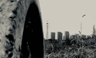 A large, rough-textured pipe in the foreground with tall grass and weeds surrounding it. In the background, a cityscape is visible with high-rise buildings and a lone transmission tower. The image has a monochromatic color scheme, giving it a stark and gritty appearance.